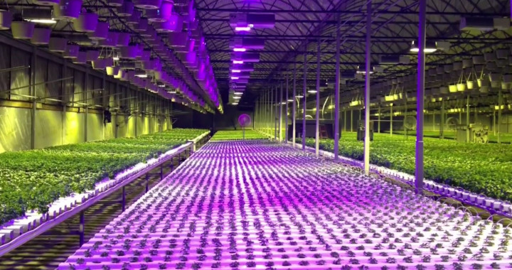 Commercial cultivation and indoor garden farm wholesale discount pricing on hydroponic systems, equipment and supplies in Anchorage, AK